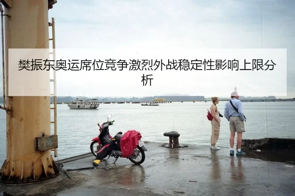 樊振东奥运席位竞争激烈外战稳定性影响上限分析