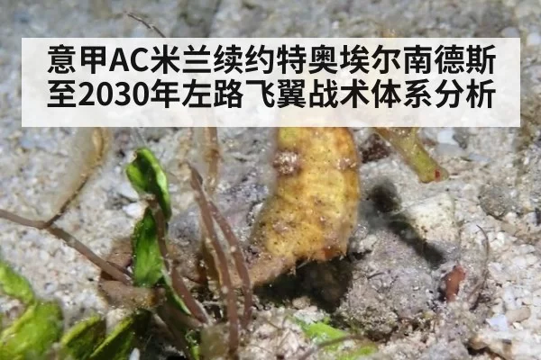 意甲AC米兰续约特奥埃尔南德斯至2030年左路飞翼战术体系分析（bet188）